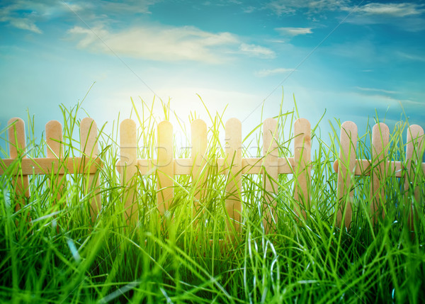 Houten hek blauwe hemel tuin gras voorjaar Stockfoto © cookelma