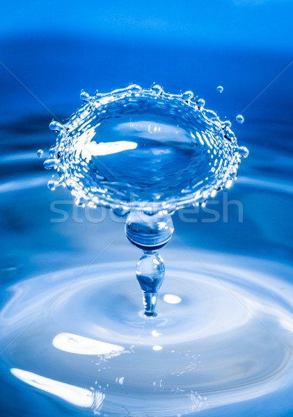 Water drop Stock photo © cookelma