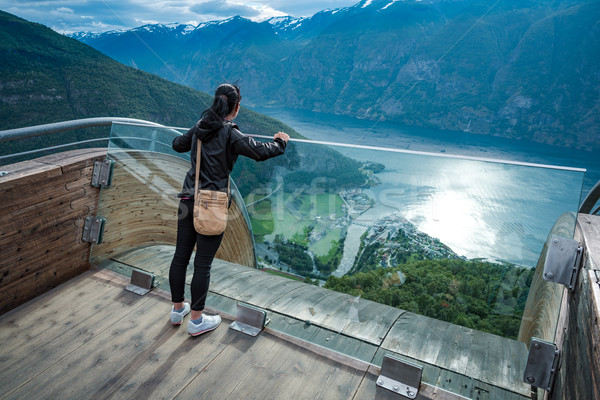 Schönen Natur Norwegen Beobachtung Deck Ansicht Stock foto © cookelma