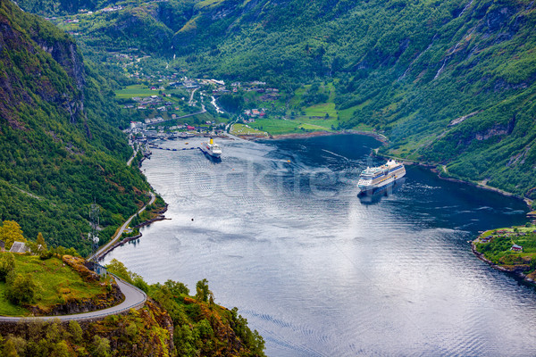 Foto stock: Noruega · hermosa · naturaleza · largo · rama