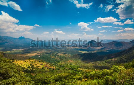 Stok fotoğraf: çay · Hindistan · manzara · bahar · ahşap · orman