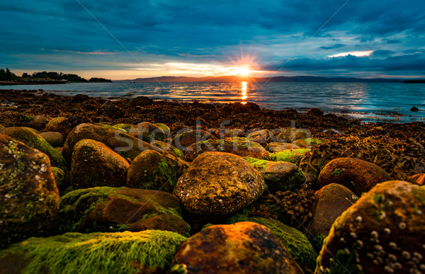 Sunset over the sea in Norway Stock photo © cookelma