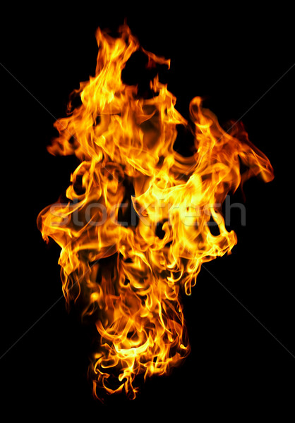 Fire photo on a black background Stock photo © cookelma