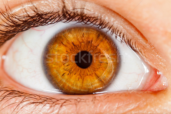 Menselijke oog foto vrouw kleur Stockfoto © cookelma