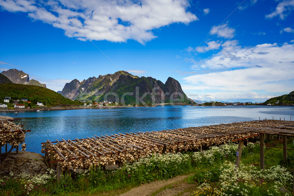 Vis eilanden zee schoonheid berg zomer Stockfoto © cookelma