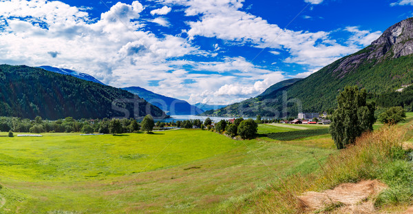 美しい 自然 ノルウェー 自然 風景 空 ストックフォト © cookelma