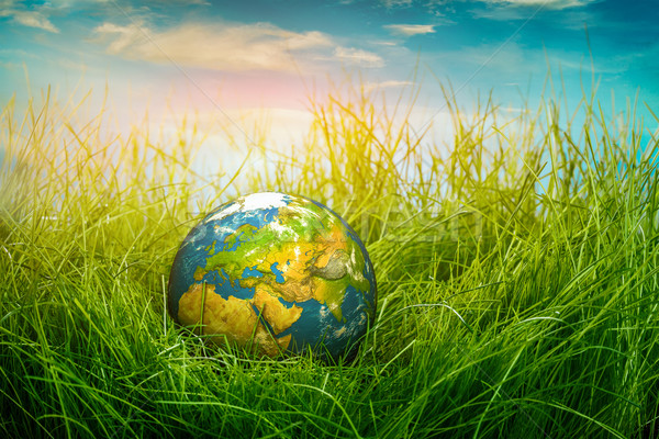 Föld napja földgömb hazugságok zöld fű tavasz terv Stock fotó © cookelma
