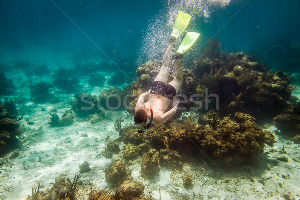 Stock photo: Snorkeler