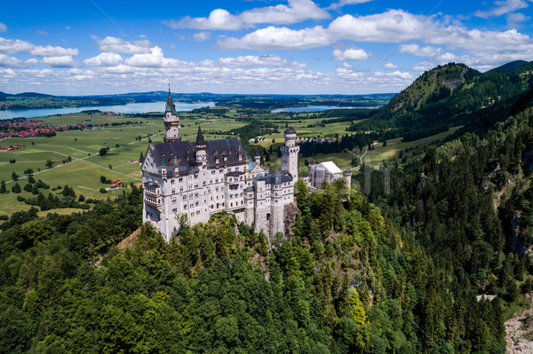Neuschwanstein Castle Bavarian Alps Germany Stock photo © cookelma