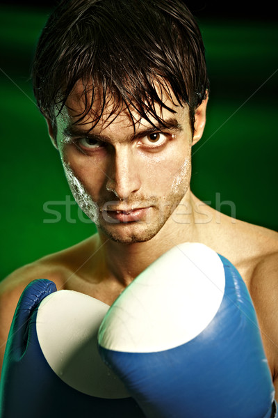 Boxing. Man in boxing gloves Stock photo © cookelma