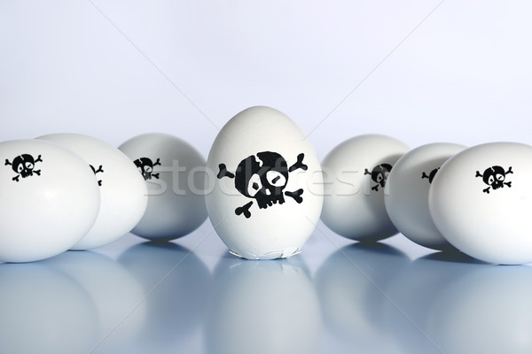 Madár influenza vírus tojás tyúk félelem Stock fotó © cookelma