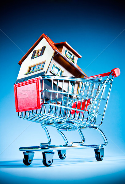 Bevásárlókocsi ház kék otthon vásárlás kosár Stock fotó © cookelma