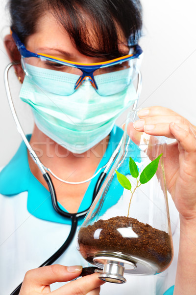 Naukowiec zdrowia życia lekarza drzewo kobiet Zdjęcia stock © cookelma