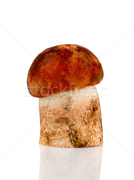 Orange-cap Boletus mushroom Stock photo © cookelma