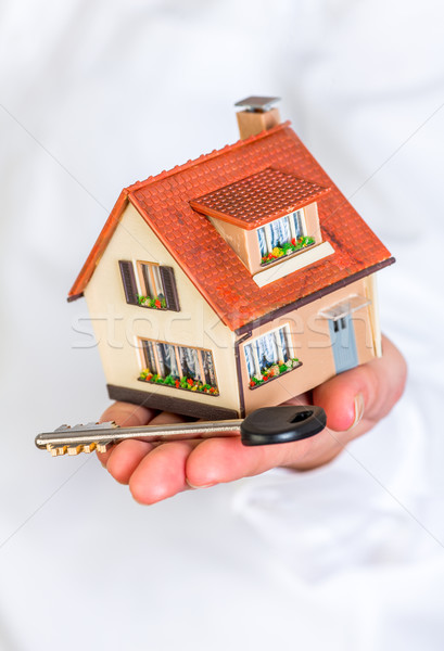 House in human hands Stock photo © cookelma