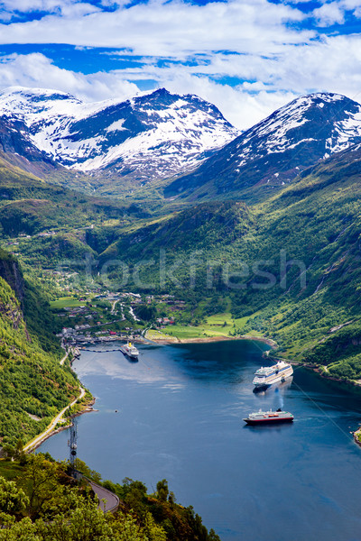 Norvège belle nature longtemps branche Photo stock © cookelma