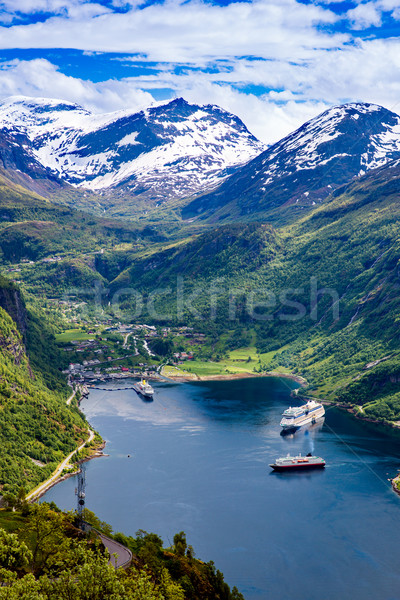 Norwegen schönen Natur lange Zweig aus Stock foto © cookelma