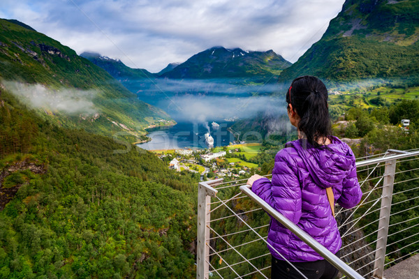 Norwegen schönen Natur Panorama lange Zweig Stock foto © cookelma