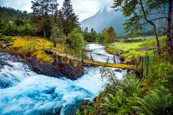 Asma köprü dağ nehir Norveç güzel doğa Stok fotoğraf © cookelma