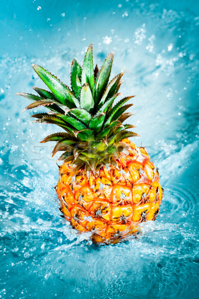 新鮮 菠蘿 水 飛濺 水果 美女 商業照片 © cookelma