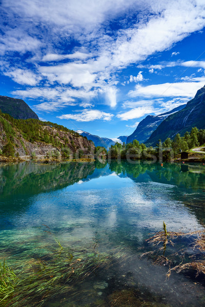 Beautiful Nature Norway. Stock photo © cookelma