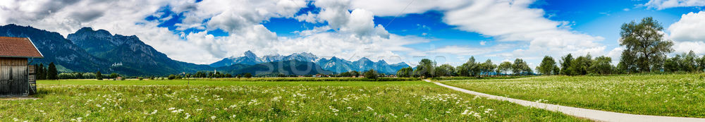 Güzel doğal manzara alpler Almanya ev Stok fotoğraf © cookelma