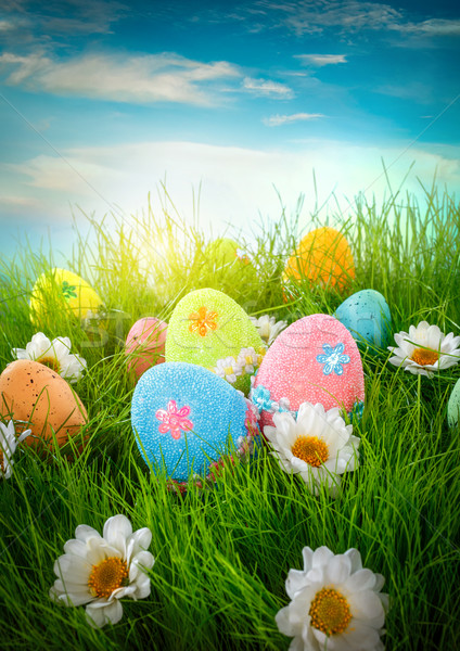 Stock fotó: Díszített · húsvéti · tojások · fű · kék · ég · égbolt · virág