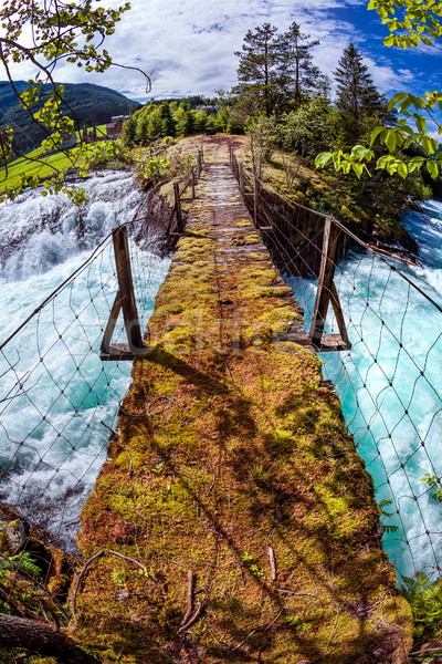 Puente colgante montana río Noruega hermosa naturaleza Foto stock © cookelma