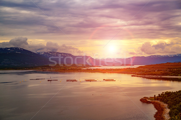 Farm lazac halászat Norvégia étel tenger Stock fotó © cookelma