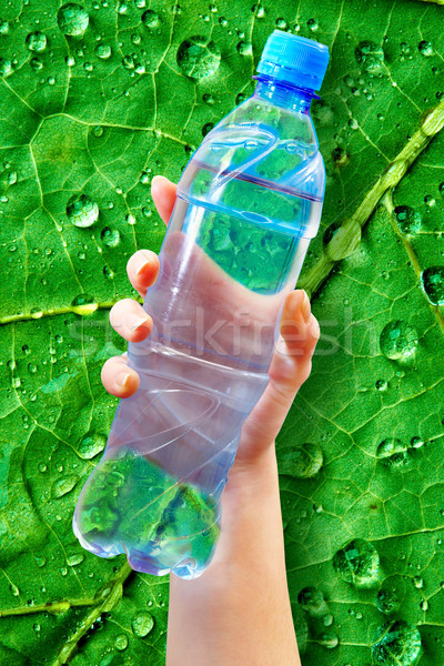 瓶 水 手 性質 綠色 背面 商業照片 © cookelma