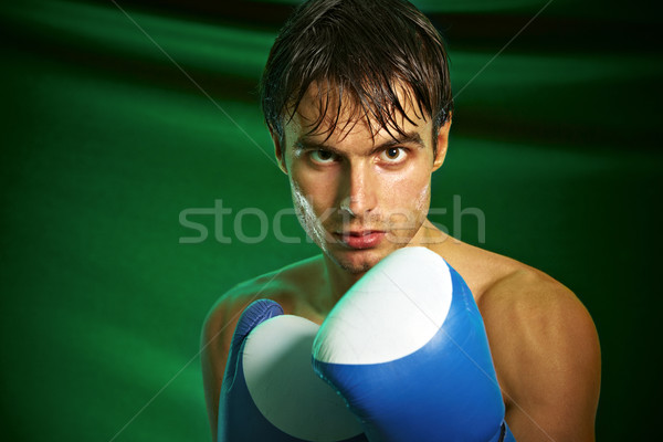 Boxing. Man in boxing gloves Stock photo © cookelma