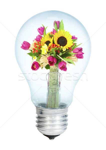 Electrobulb with a bunch of flowers on a white background Stock photo © cookelma
