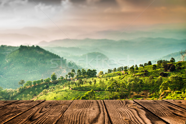Tea plantations in India (tilt shift lens) Stock photo © cookelma