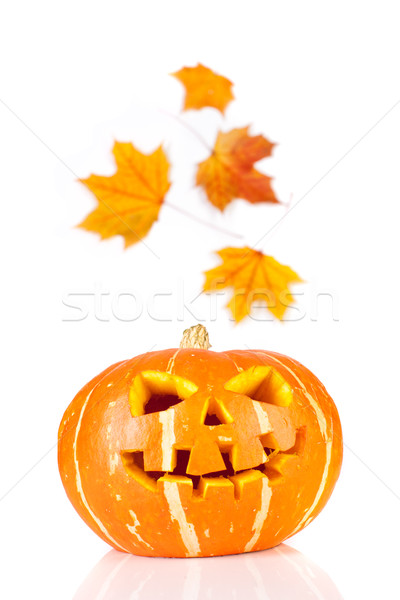 Halloween vechi alb înfricoşător izolat lumina Imagine de stoc © cookelma