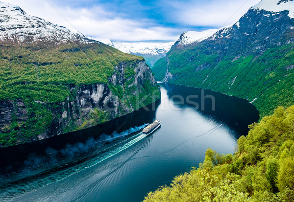 Norvégia gyönyörű természet hosszú ág el Stock fotó © cookelma