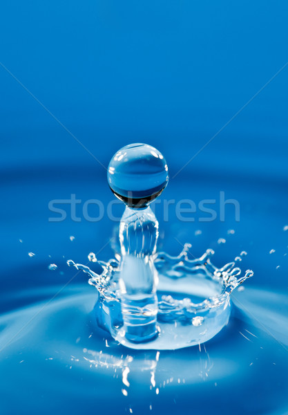 Waterdruppel naar beneden natuur licht regen Blauw Stockfoto © cookelma