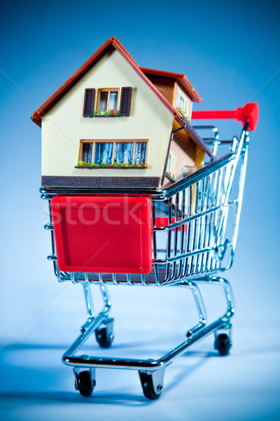shopping cart and house Stock photo © cookelma