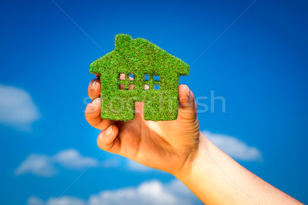 трава домой Эко Blue Sky человека рук Сток-фото © cookelma