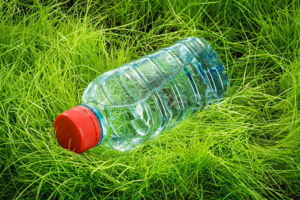 Water bottle on the grass. Stock photo © cookelma