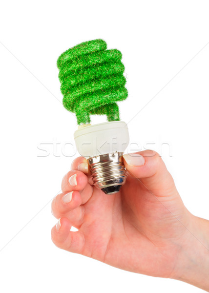 Concept Eco light bulb Stock photo © cookelma