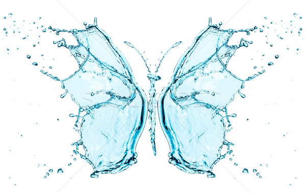 Butterfly splashing water Stock photo © cookelma