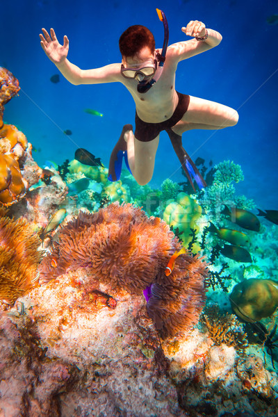 Snorkeler Maldives Indian Ocean coral reef. Stock photo © cookelma