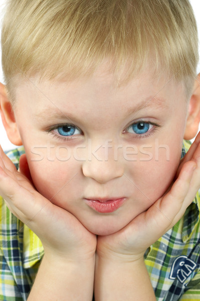 The portrait of the boy of the blonde which smiles. Stock photo © cookelma