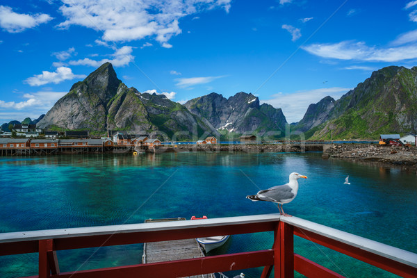 Archipel Norvège paysages dramatique montagnes Photo stock © cookelma