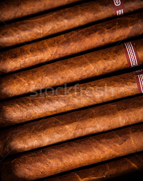 雪茄 關閉 打開 業務 框 禮物 商業照片 © cookelma