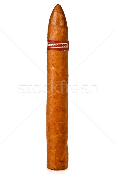 Zigarre ein weiß Business Geschenk Stil Stock foto © cookelma