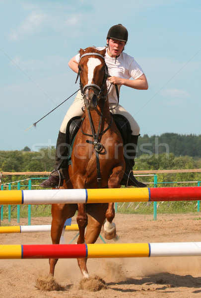 show jumping Stock photo © cookelma