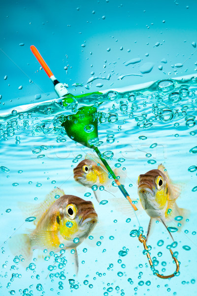 Fishing Stock photo © cookelma