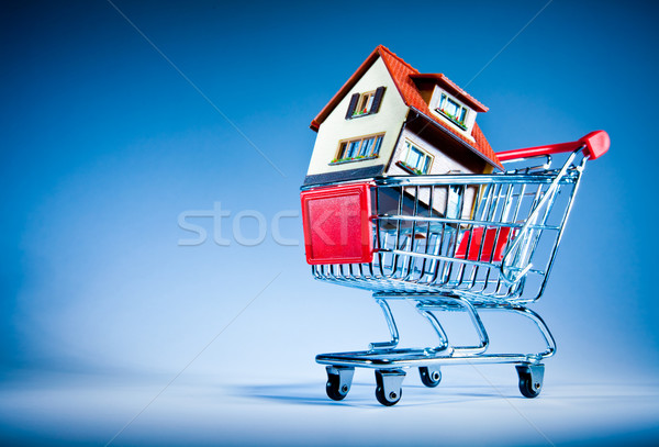 Stockfoto: Winkelwagen · huis · Blauw · home · winkelen · mand