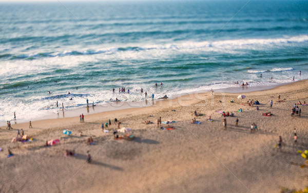 Spiaggia indian Ocean India spostare lenti Foto d'archivio © cookelma